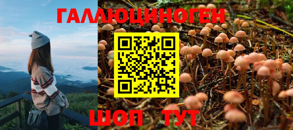 Волоколамск  Псилоцибиновые грибы Cubensis  Вход с VPN  Псилоцибиновые грибы Psilocybe 